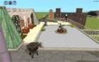 roofpatio5_small.jpg